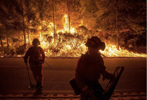 Firefighters battling the King Fire watch as a backfire burns along Highway 50 in Fresh Pond, California in this September 16, 2014 file photo.