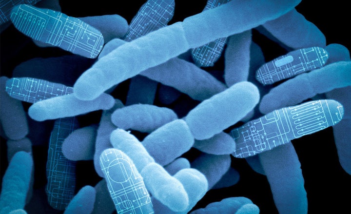 Synlogic is harnessing the power of the microbiome to create a new class of living medications.