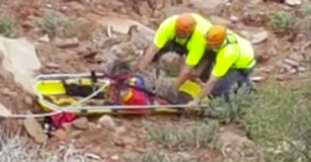 Lucky Dog Survives 300-Foot Fall After Leaping Off Cliff | HuffPost ...