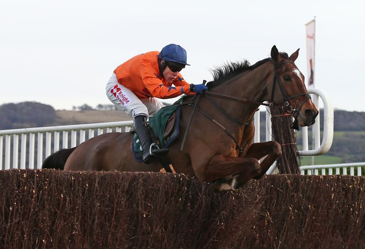 Kings Palace, pictured with jockey Tom Scudamore at Cheltenham, was destroyed after he was pulled up lame in a hurdle race at Aintree on Saturday.
