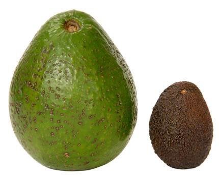 m&s avocado