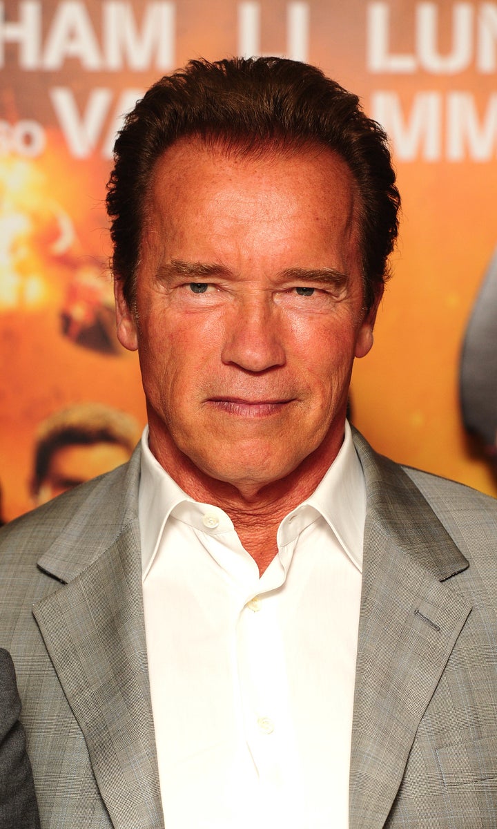 <strong>Arnold Schwarzenegger</strong>