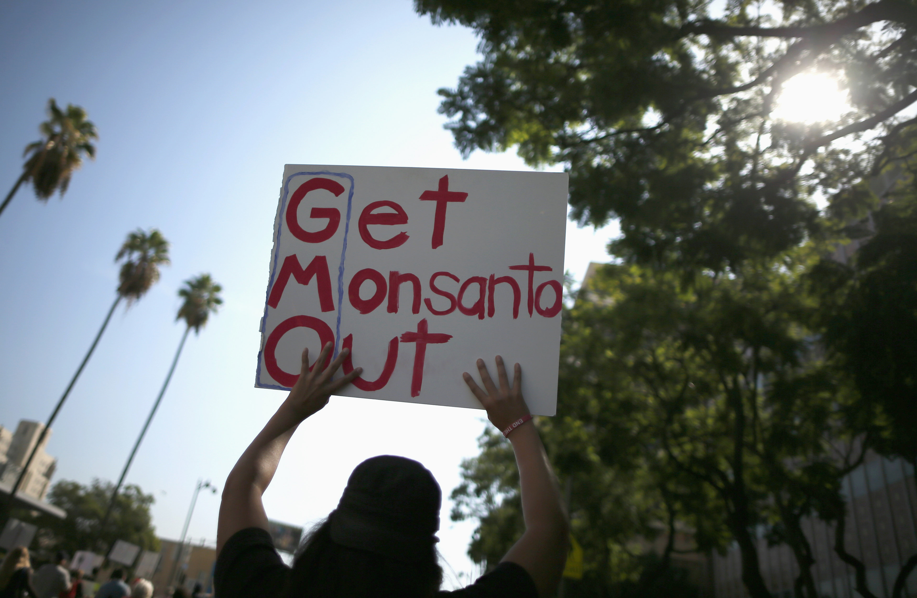 Support For GMOs Rises With Education Level HuffPost   570ea9411900002e0056b224 