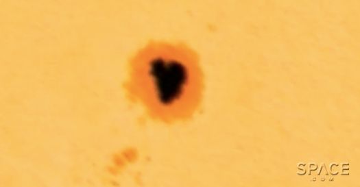 A zoomed in view of the sunspot, showing its heart shape.