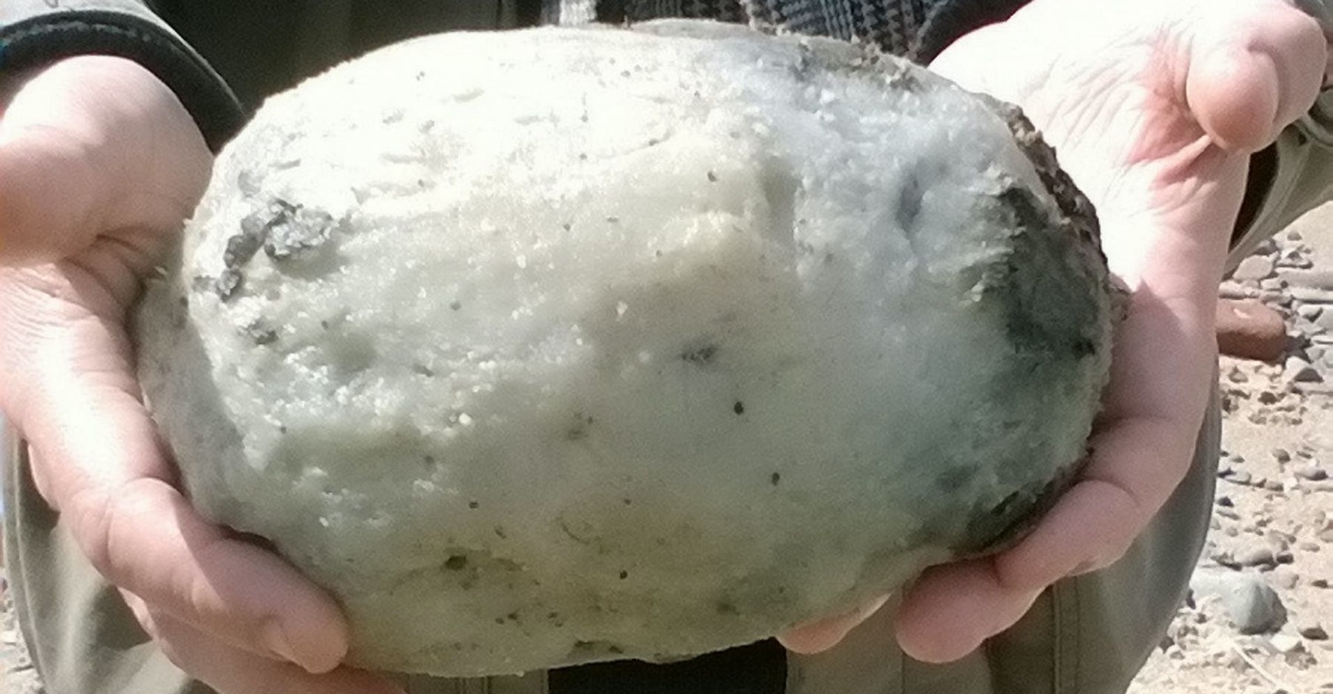 Finding Out How Much This Whale Vomit Is Worth Will Make You Sick Huffpost