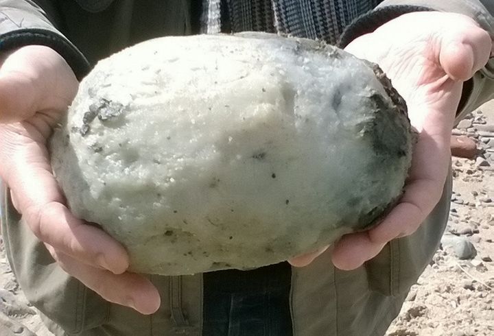 This egg-shaped whale vomit is worth big money.