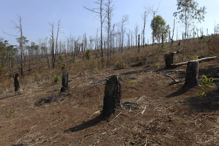 A deforested hill in Vietnam's central highlands' province of Dak Lak. Local outlets say massive migration into the region in recent years and the increasing value of agricultural products such coffee, rubber, cassava and cashew nuts have contributed to an alarming deforestation rate.