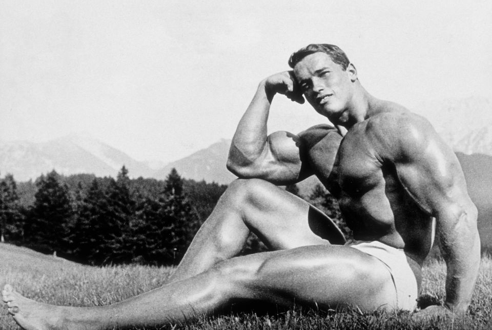 A year later, Schwarzenegger poses his bigger muscles for a portrait circa ...