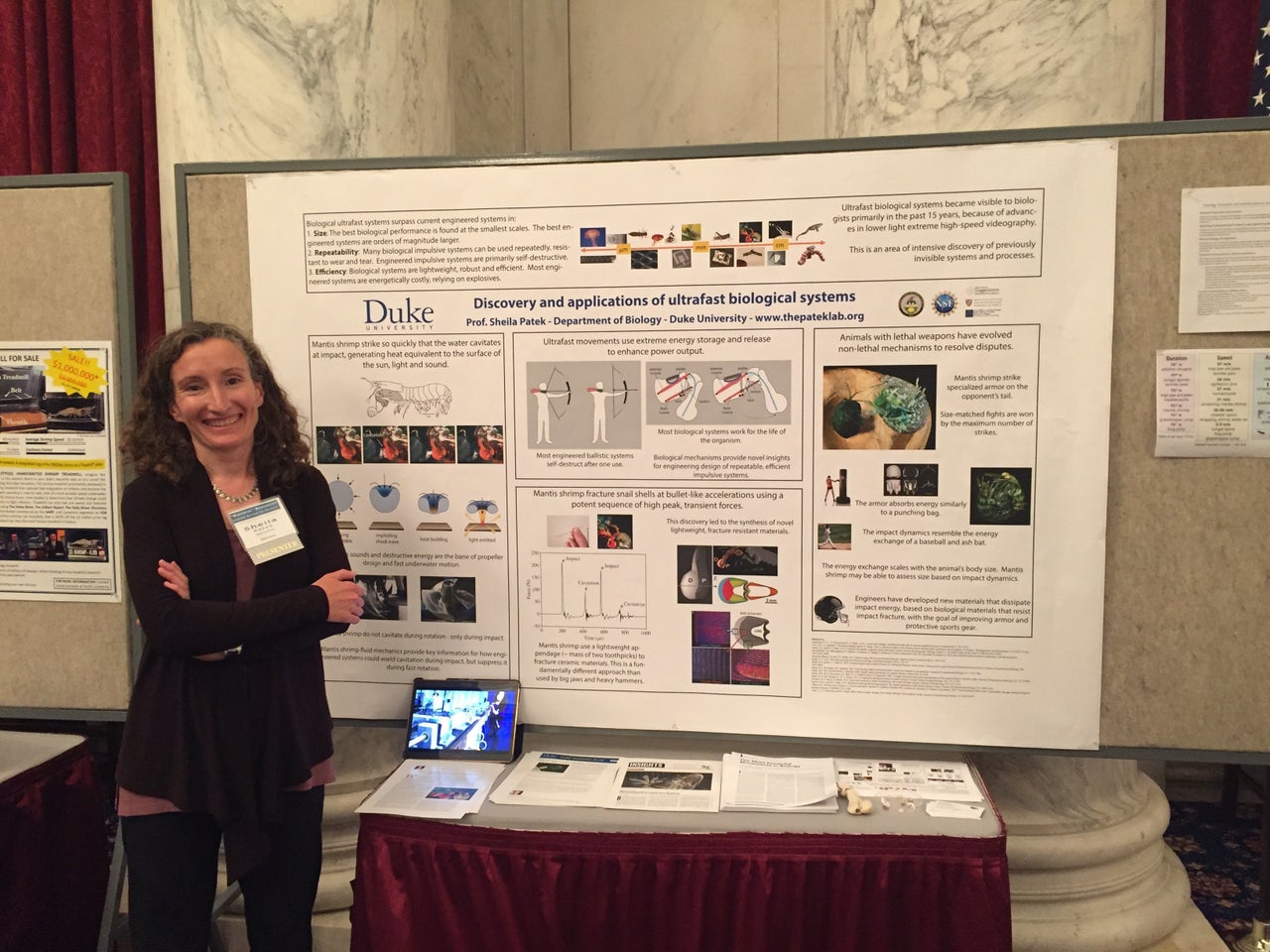 Sheila Patek has studied how mantis shrimp generate incredible force without the assistance of outside factors. Flake made her an example in his wastebook.