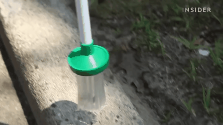 The Web Is Freaking Out Over This No-Kill Spider