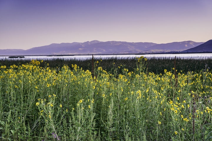 North Beach State Park at Bear Lake Valley in Idaho.