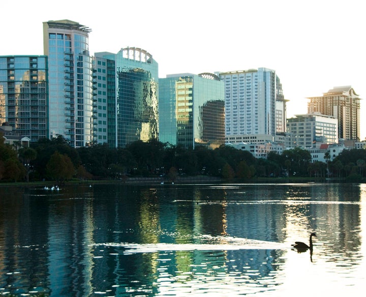 Swans have graced the downtown Orlando lake since the 1920s. Today they receive an annual medical checkup and are microchippe