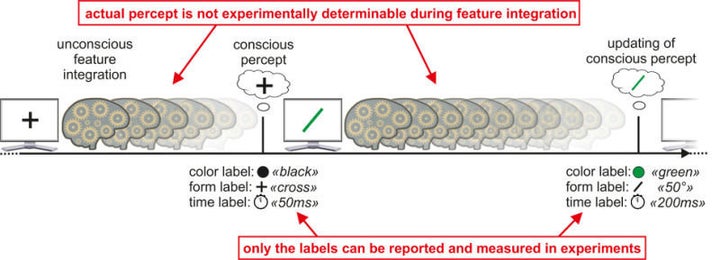 The researchers' depiction of their "time slice" model of visual perception.