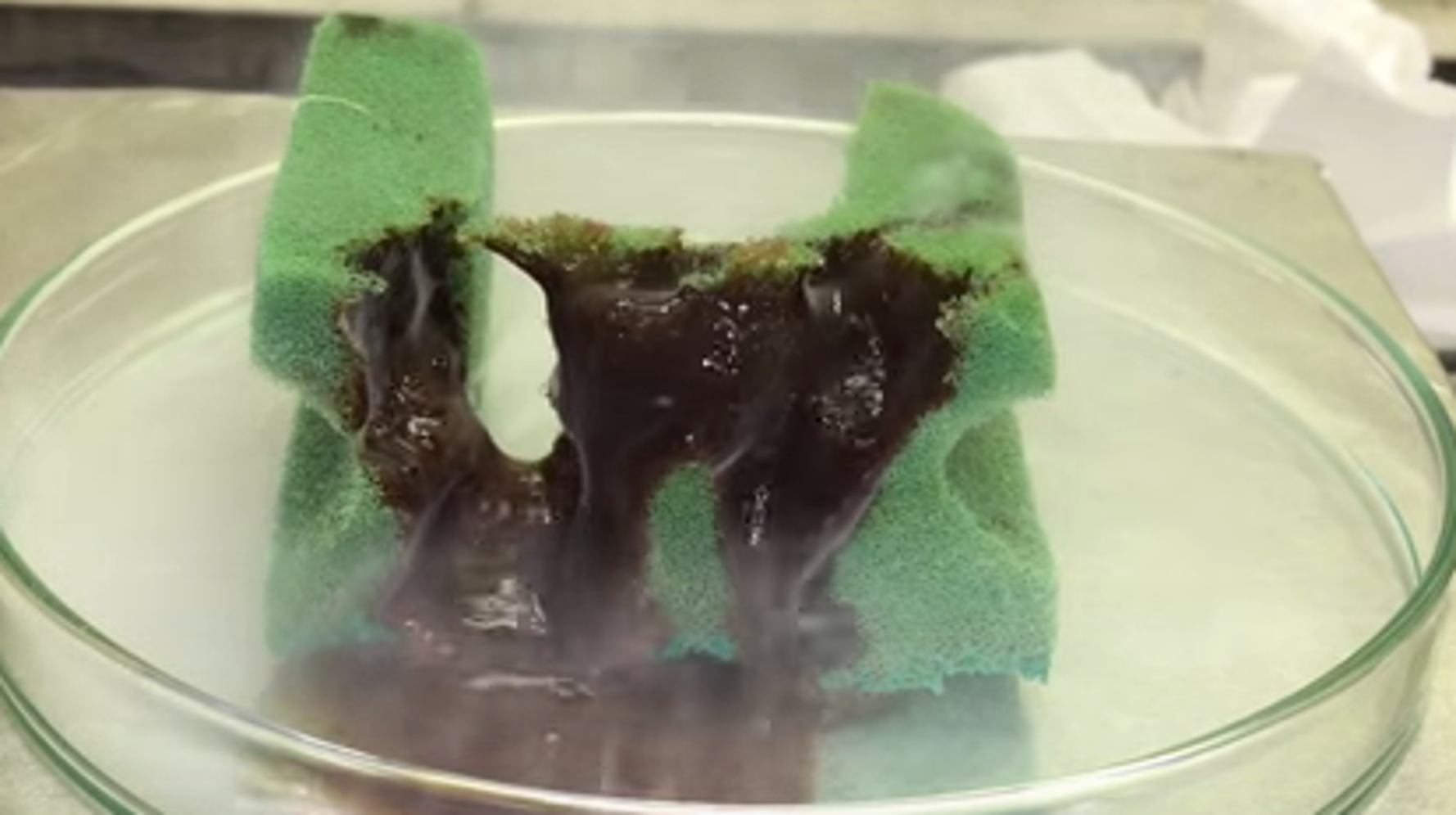 Scientists Dissolve Everyday Objects In Acid, But One Item Surprisingly ...