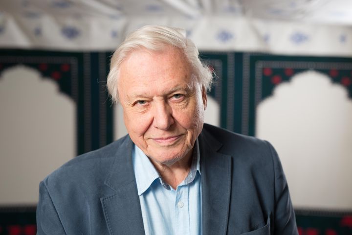 <strong>The RSS David Attenborough was another proposed name for the vessel</strong>