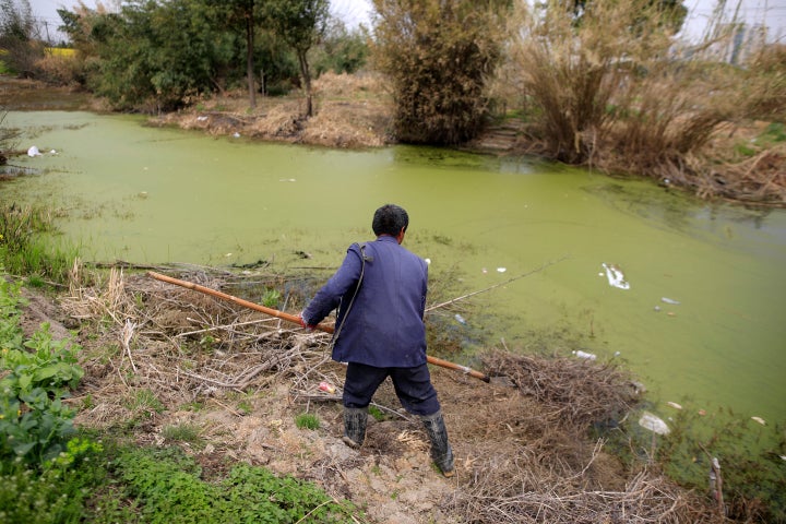 A farmer works on a polluted river in Shanghai, China, March 21, 2016.