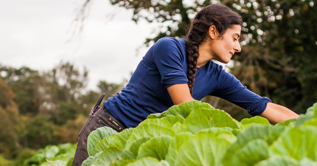 Female farmer. Девушка агроном. Allison Farmer. Farmer woman. Красотка сельское хозяйство.