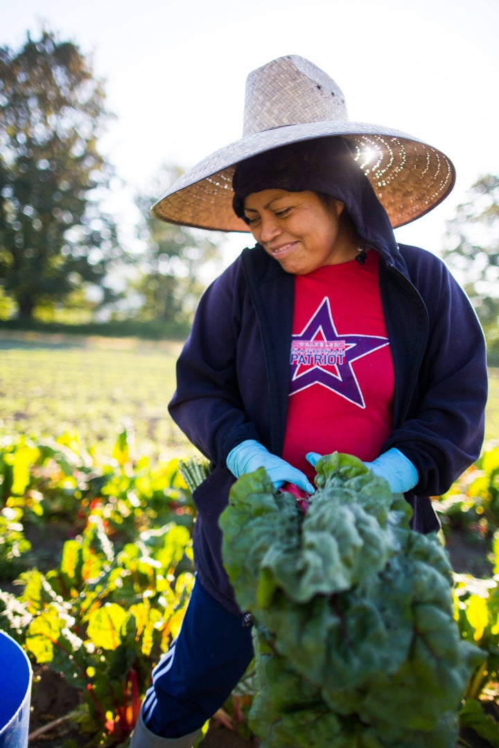 Yolanda Hernandez is a member of the field crew at Oxbow Farm in Carnation, Washington. 