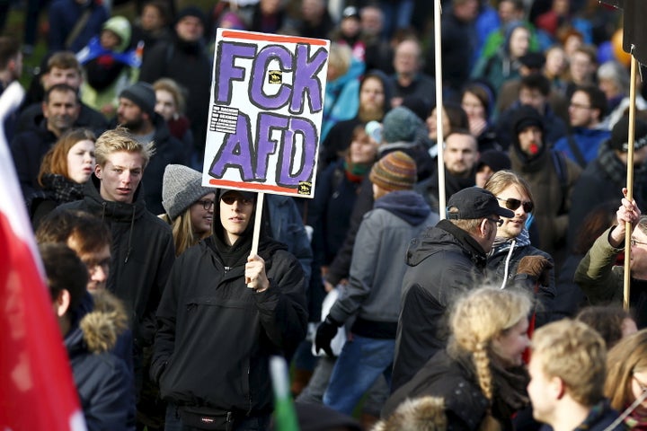 Demonstrators protest against the Alternative for Germany party in Hanover, Germany, on Nov. 28, 2015.