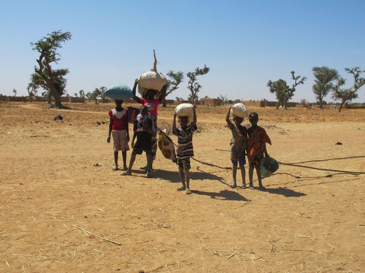 Food insecurity hits West Africa's Sahel region almost every year during the hot, dry season. Here, children carry bags of grains to their village near Mopti, Mali.