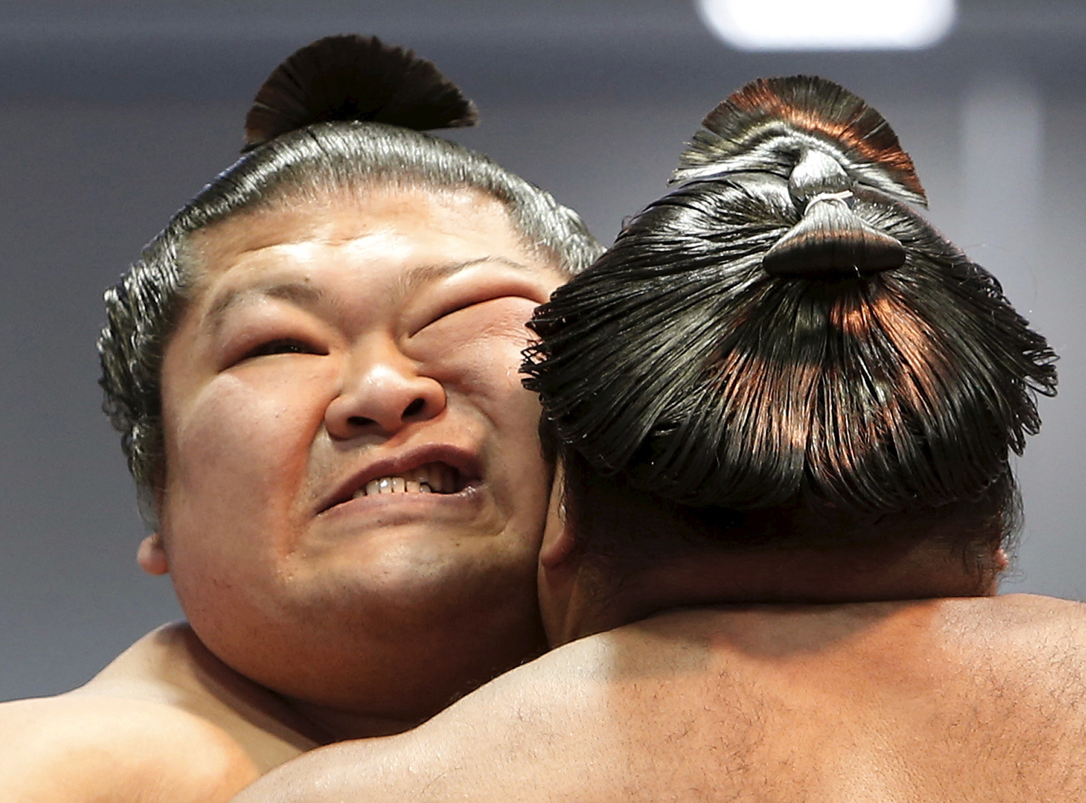 Sumo Wrestler Sitting Side Pose Stock Illustration - Download Image Now -  Standing, Sumo Wrestling, Adult - iStock