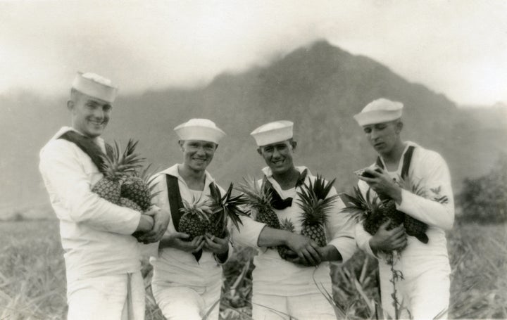 Pineapple fields, Hawaii, circa 1936