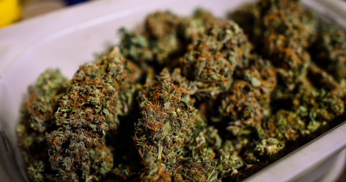 Top Rabbi Rules (Medical) Marijuana Kosher For Passover HuffPost The WorldPost