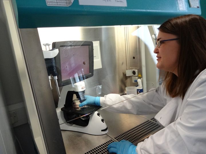 Leukaemia research, carried out by Dr Helen Wheadon's team, uses cells derived from patients.