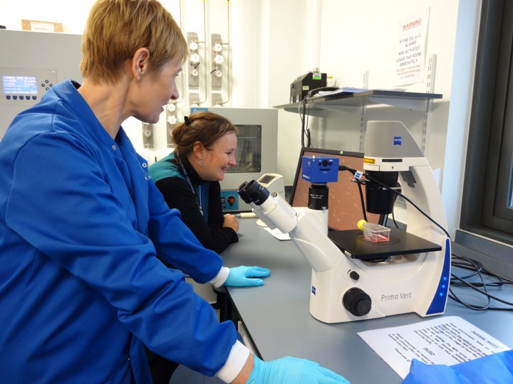 Professor Lorna Harries's research project in Exeter is working on Type 2 diabetes.