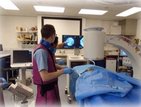 <strong>Guided procedure training using Thiel cadaveric models at Dundee University as an alternative to animals.</strong>