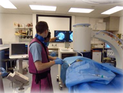 Guided procedure training using Thiel cadaveric models at Dundee University as an alternative to animals.