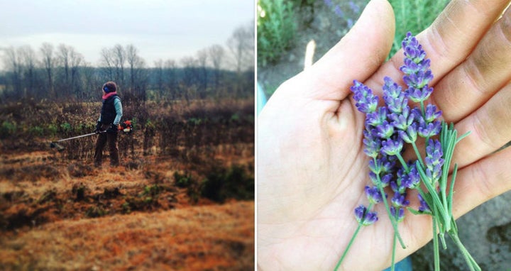 Amanda Midkiff grows medicinal herbs on her small farm, Locust Light Farm, in New Hope, Pennsylvania. 