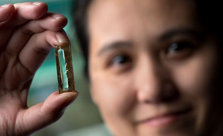 Mya Le Thai, a doctoral candidate at the University of California, Irvine, holding the nanowire-based technology that allows lithium-ion batteries to be recharged hundreds of thousands of times.