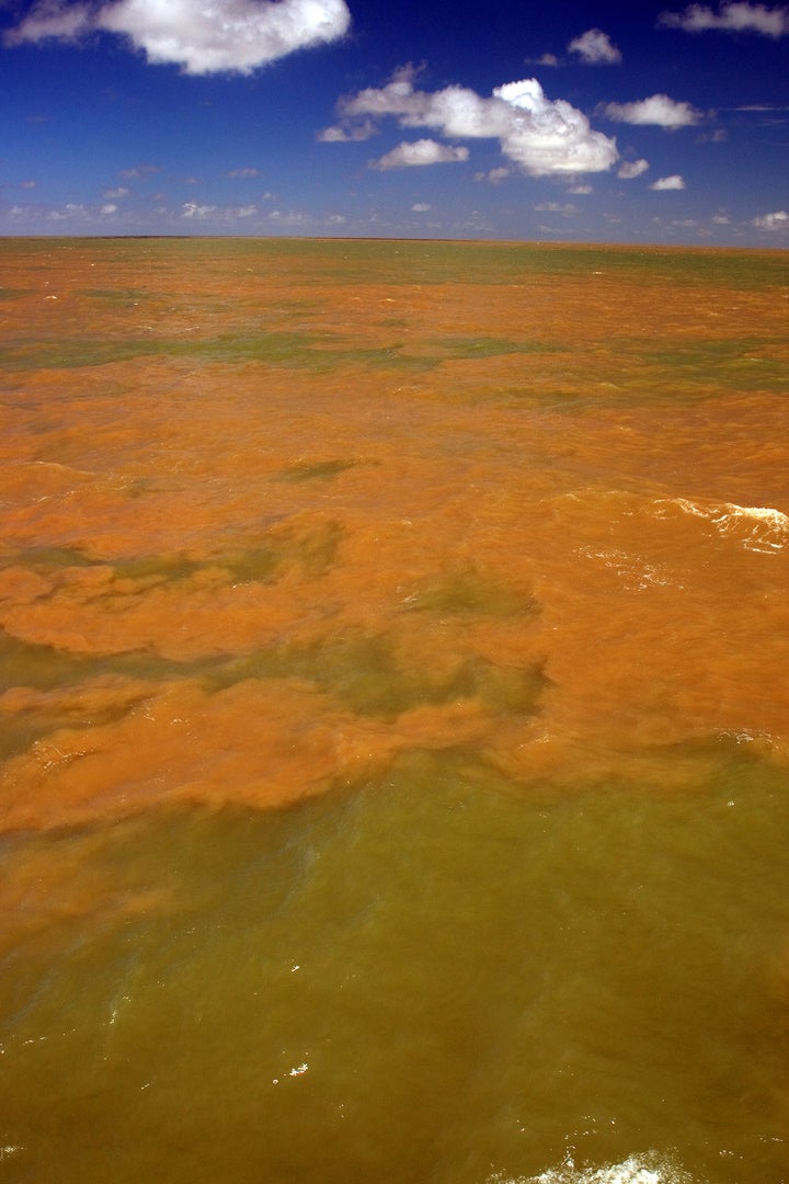 The plume where the water from the Amazon River meets the water of the Atlantic Ocean.