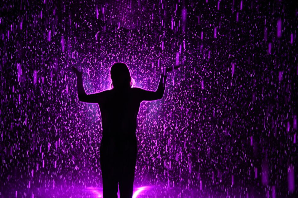 The 'Rain Room' Goes Full Purple Rain In Honor Of Prince | HuffPost