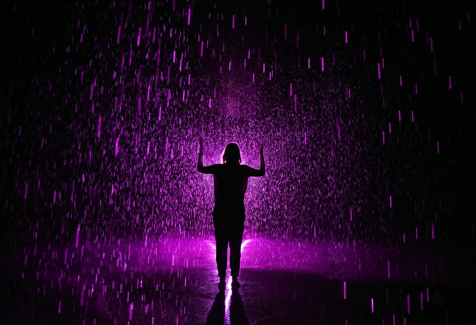 Rain room. Пурпурный дождь. Фиолетовый дождь. Сиреневый ливень. Пурпурный дождь нар.