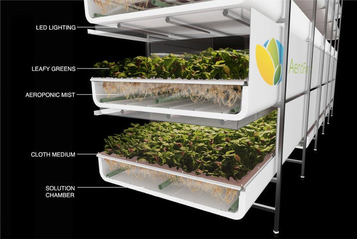 Aeroponics is just one form of indoor farming.