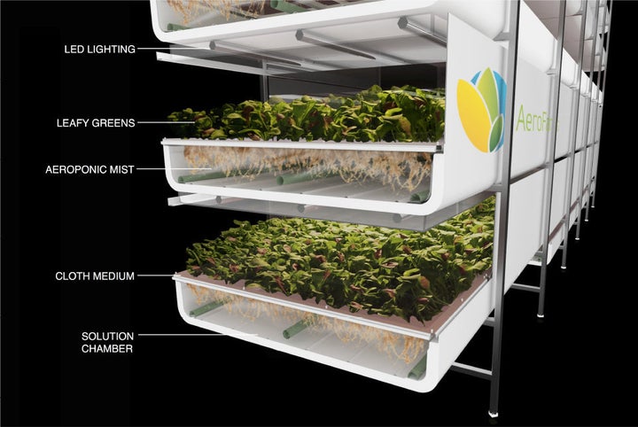 Aeroponics is just one form of indoor farming. 