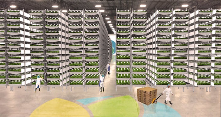 A rendering of Aerofarms' new headquarters in Newark, New Jersey, which it says will be the largest indoor vertical farm in the world. 