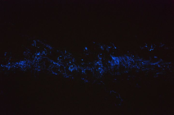 On the beach at Rannalhi, Maldivian island of the South Male Atoll. Bioluminescence is the production of light by a living organism. During the night, the beach comes alive with shining blue light brought ashore by the waves.