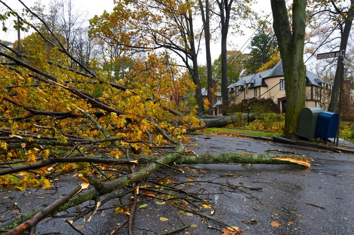 Anyone who comes across a downed power line, like the one seen here, is advised to call 911 or their local power company while staying more than 30-feet away.