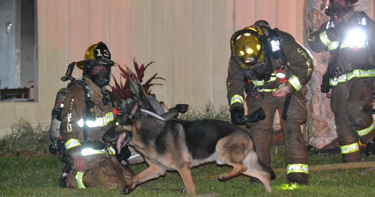 Hero Dog Helps Firefighters Pull 2 Kids From Burning Home | HuffPost ...