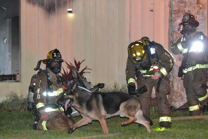 A German shepherd named Maxx is seen with firefighters after a fire destroyed his owner's home Monday night.