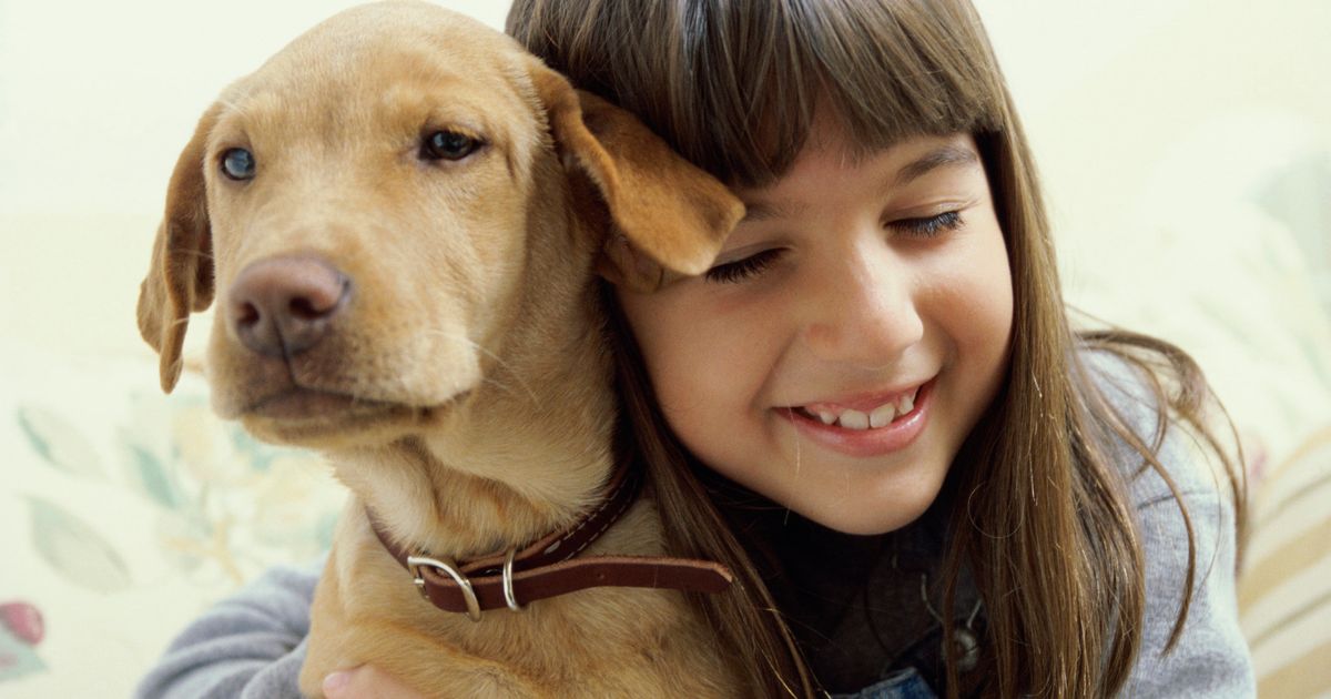Keeping pets listen. Девочка обнимает собаку. Собаки и люди разные. Ребенок обнимает собаку. Человек обнимает собаку.
