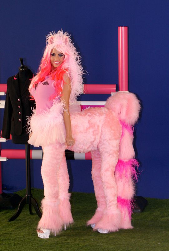 Katie Price Dresses Up As A Unicorn To Launch New TV Show, Gets Slammed ...