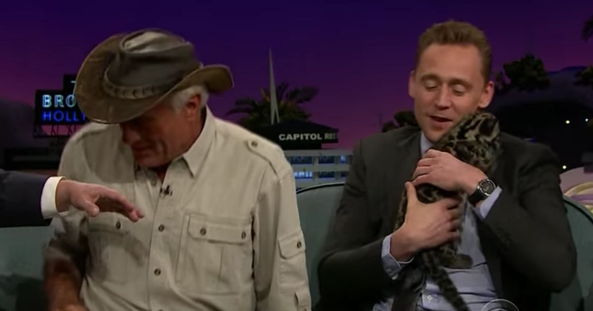 Tom Hiddleston Plays With A Baby Leopard On James Corden's 'Late, Late