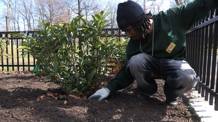 Michael Samuels tends to a plant in a Washington D.C. park as part of a job-training program for residents facing barriers to employment. He is featured in the documentary "City of Trees."