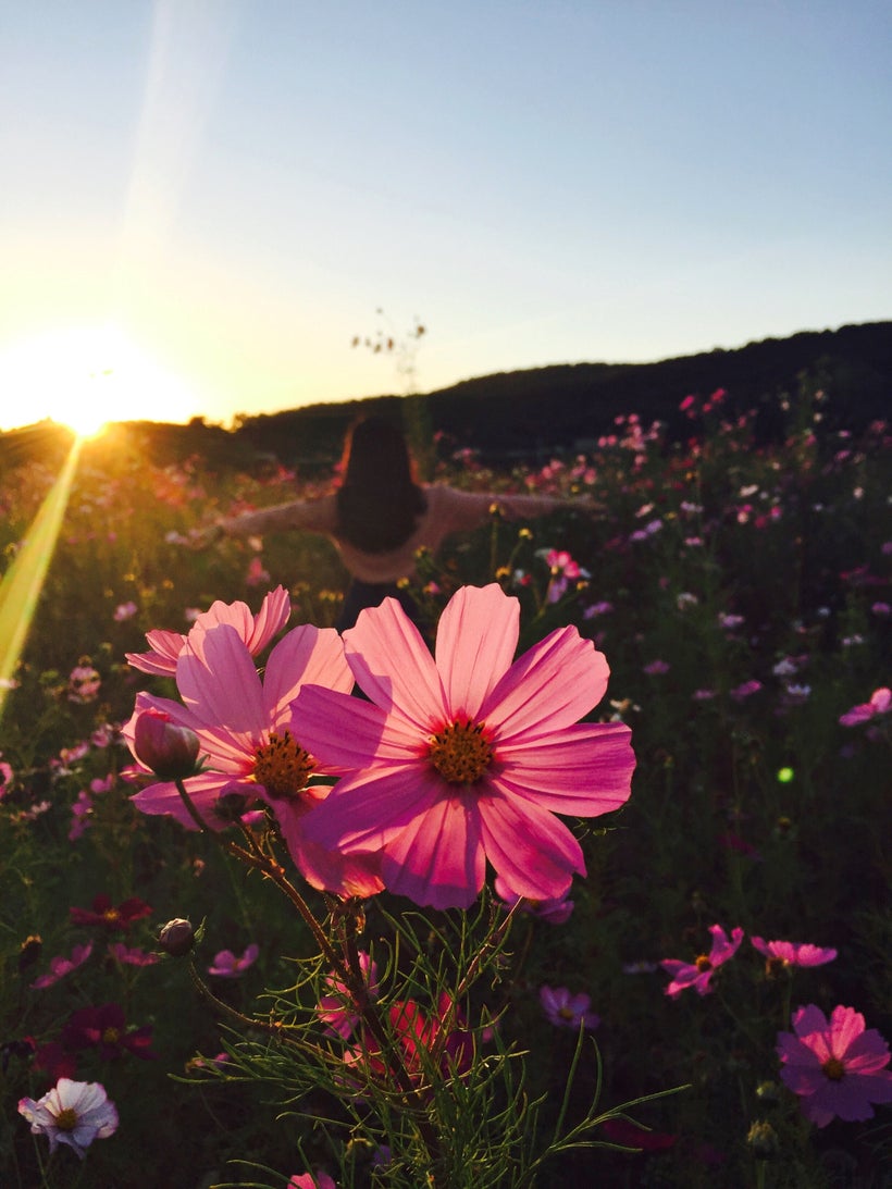 Embrace YOUR life! <a href="https://www.wisdomhealing.org/home.html" target="_blank">Find Dr. Hallett at Wisdom Healing