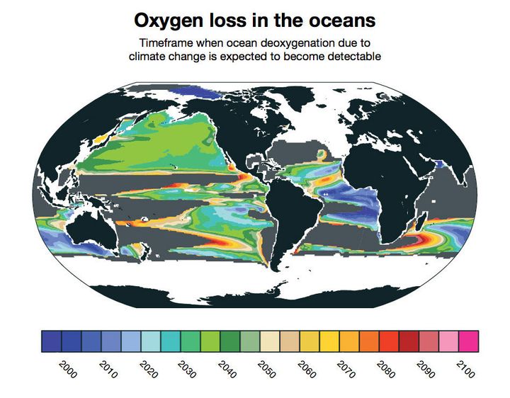 Deoxgenation due to climate change is already detectable in some parts of the ocean. New research from NCAR finds that it will likely become widespread between 2030 and 2040. Other parts of the ocean, shown in gray, will not have detectable loss of oxygen due to climate change even by 2100.