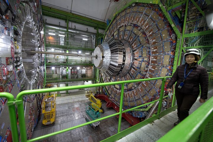 <strong>The collider at CERN is the biggest machine in the world.</strong>